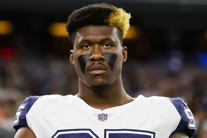 David Irving Net Worth, Biography, Age, Family, Facts - RevolutionTT