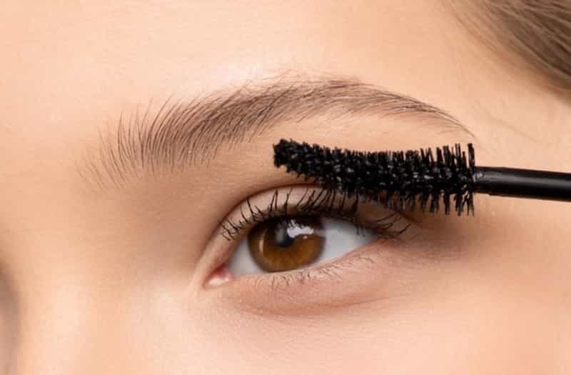 how to grow eyelashes back in 2 days